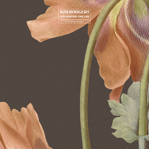 怎么样扣币更爽
