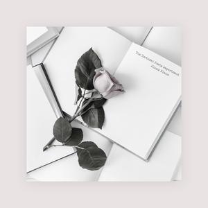 怎么样扣币更爽
